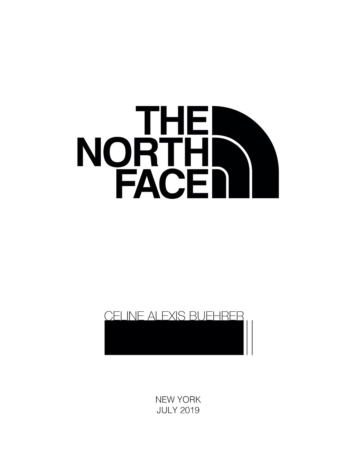 Футболка the North face белый